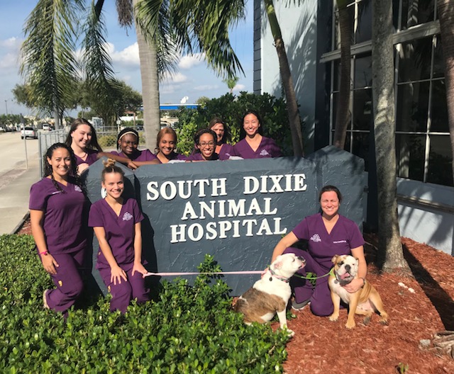 About South Dixie Animal Hospital